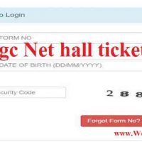 Csir Ugc Net Hall Ticket 2019 ऑफिसियल वेबसाइट csirhrdg.res.In से एडमिट कार्ड डाउनलोड करें |