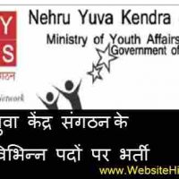 नेहरु युवा केंद्र संगठन (Nehru Yuva Kendra Sangathan) के अंतर्गत विभिन्न पदों  पर भर्ती