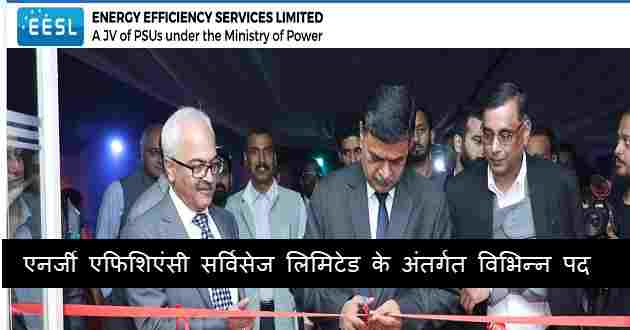 Energy Efficiency Services Limited