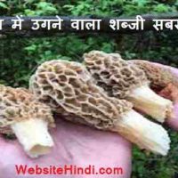 भारत की सबसे महंगी शब्जी जिसको करोडपति भी खाने से पहले दस बार सोंचेगा |