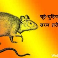 चूहे-चुहियां भगाने का अचूक उपाय और नुस्खे हिंदी में |