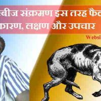 रेबीज (Rabies) क्या है? कारण, लक्षण और चिकित्सा से बचने का उपाय !
