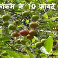 कोकम के 10 फायदे - क्या Kokun स्वास्थ्य के लिए लाभदायक है |