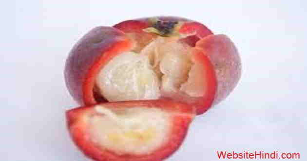 कोकम-के-10-फायदे