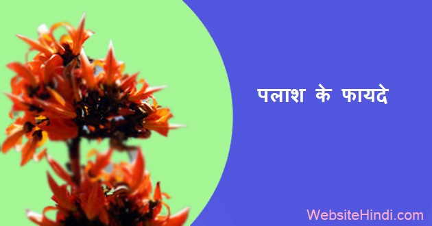 पलाश-के-फायदे