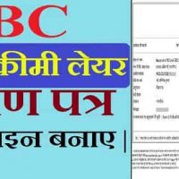 OBC Non Creamy Layer का सर्टिफिकेट ऑनलाइन कैसे बनवाए?