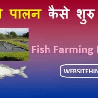 मछली पालन कैसे शुरु करे (Fish Farming Business In Hindi)