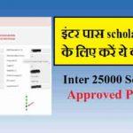 Inter Pass 25000 Scholarship 2023 में पेमेंट एप्रूव्ड कैसे कराये?