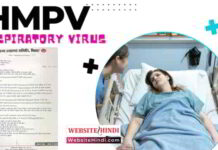 HMPV Respiratory Virus क्या है और इनके बचाव को जानिए hmpv-respiratory-virus-image