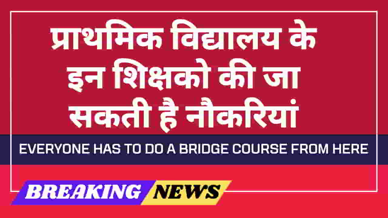 bridge-course-nios