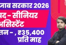 PSSSB Senior Assistant Recruitment 2026 – 350+ Senior Assistant पदों पर भर्ती, Online Apply psssb senior assistant recruitment 2026