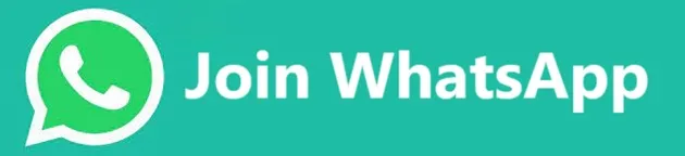 websitehindi-whatsapp